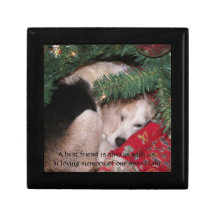 Boîte de mémorial d'animal familier