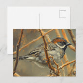 A sparrow, resting, sits on a bush branch briefkaart (Voorkant / Achterkant)