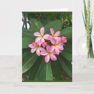 A *SPECIALE WAARSCHUWDAG* VOOR EEN *SPECIALE PERSO KAART