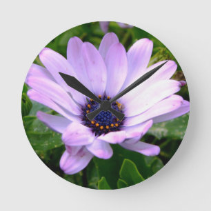 A Spiers Center Ronde Klok