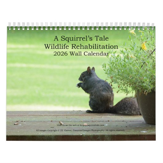 A Squirrel's Tale 2026 Wall Calendar Kalender (Hoes)