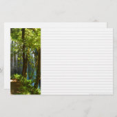 À Travers La Papeterie Arbre (Devant / Derrière)