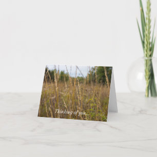 A Travers Les Tops De L'Herbe Penser À Votre Carte
