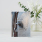 A travers l'oeil d'un cheval carte postale (Debout devant)
