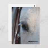 A travers l'oeil d'un cheval carte postale (Devant / Derrière)