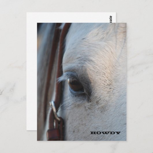 A travers l'oeil d'un cheval carte postale (Devant / Derrière)