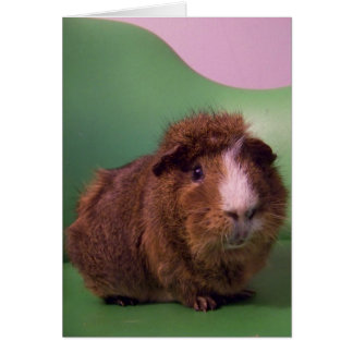 À un homme distingué