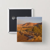 A Utah Juniper Juniperus osteosperma), boom 2 Vierkante Button 5,1 Cm (Voorkant /achterkant)