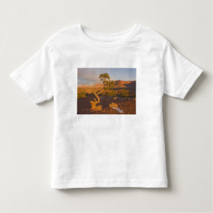 A Utah Juniper Juniperus osteosperma) Kinder Shirts