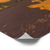 A Utah Juniper Juniperus osteosperma) Poster (Hoek)