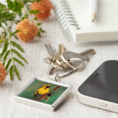 A Village Weaver calling while perched on a Reed Sleutelhanger (Zijkant)
