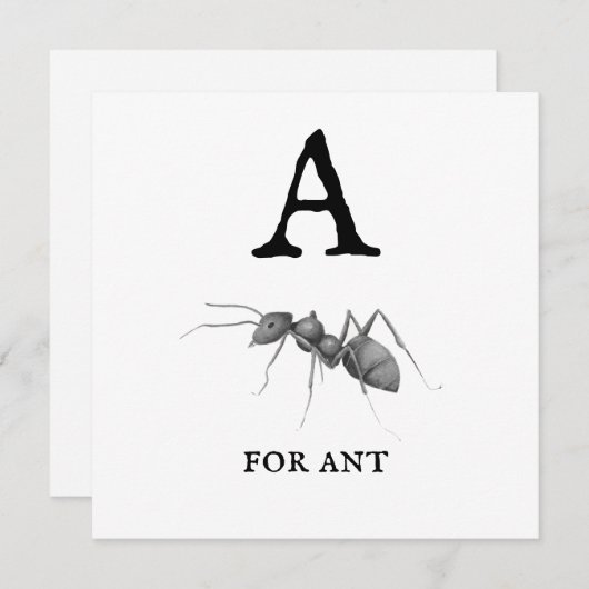 "A" voor Ant (Voorkant / Achterkant)