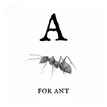 "A" voor Ant Poster