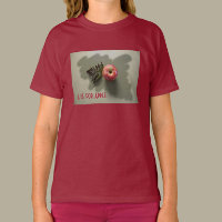 A voor Apple fotografisch