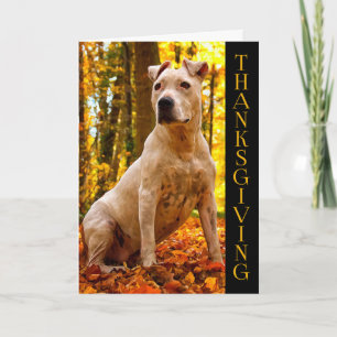 A-vriend - de Amerikaanse Hond van het Personeel Feestdagen Kaart