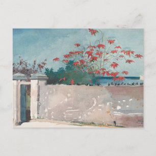 A Wall, Nassau door Winslow Homer Briefkaart