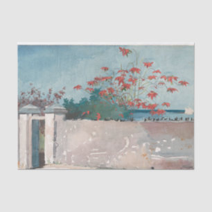 A Wall, Nassau door Winslow Homer Tissuepapier