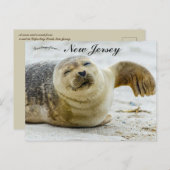 A Wave and a Wink From a Seal in New Jersey Briefkaart (Voorkant / Achterkant)