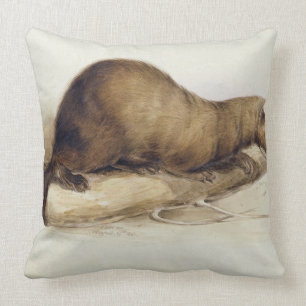 A Weasel, 1832 (m/c, pen, inkt, gouache en gombove Kussen