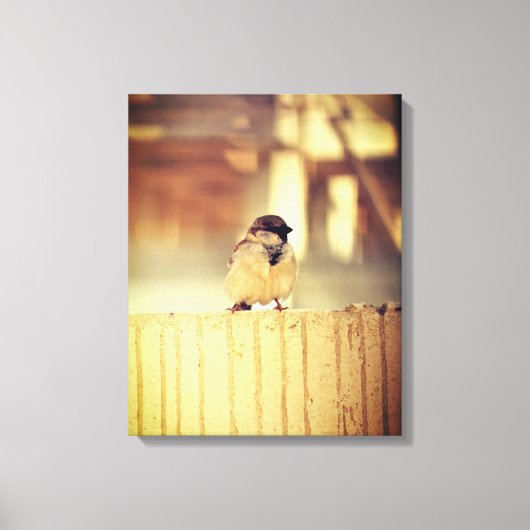 A Wee Sparrow Canvas Afdruk (Voorkant)
