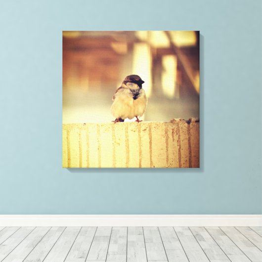 A Wee Sparrow Canvas Afdruk (Insitu (Houten vloer))