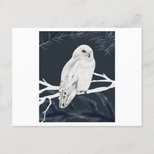 A white winter owl perches on a branch briefkaart