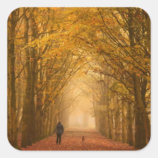 A woman walking with her dog in fall sticker (Devant)