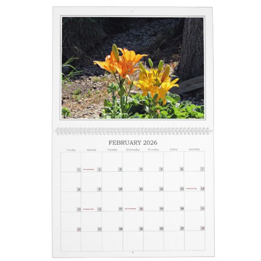 A Wonders Walk... Calendrier 2024 Big Wall (Feb 2026)