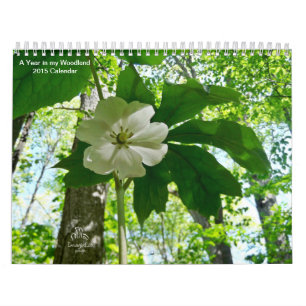 A Year in my Woodland 2015 Calendar Kalender