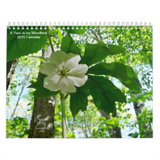 A Year in my Woodland 2015 Calendar Kalender