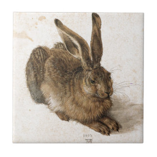 A Young Hare by Albrecht Durer Tegeltje