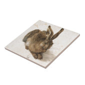 A Young Hare by Albrecht Durer Tegeltje (Zijkant)