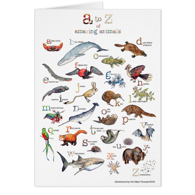 A-Z des animaux extraordinaires (Devant)
