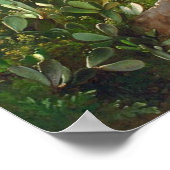 Aagaard Ruins zet het landschapsschilderij van Etn Poster (Hoek)