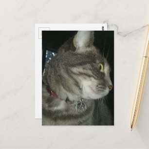 aaiende grijze tabby kat pentagram halsband briefkaart