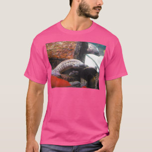 aal t-shirt