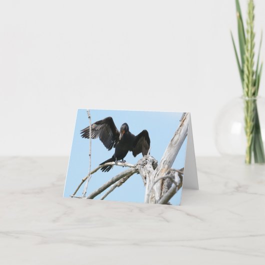 Aalscholver gebruikend vleugels aan saldo kaart (Voorkant)