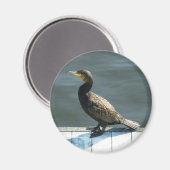 aalscholver magneet (Voorkant / Achterkant)