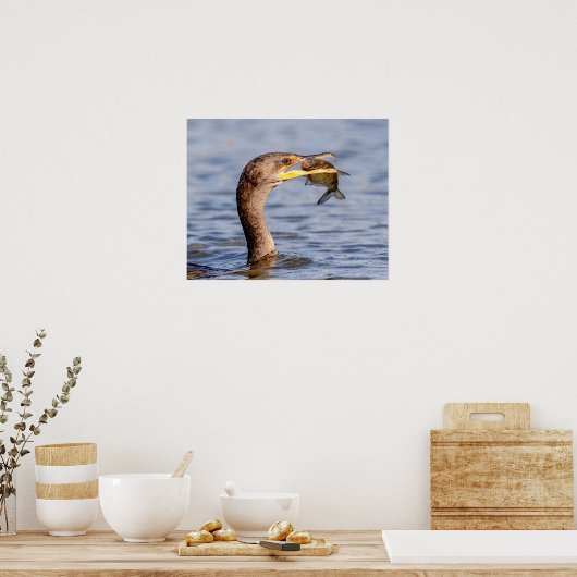 aalscholver met vis poster (Keuken)