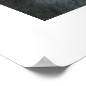 aalscholvers058 poster (Hoek)