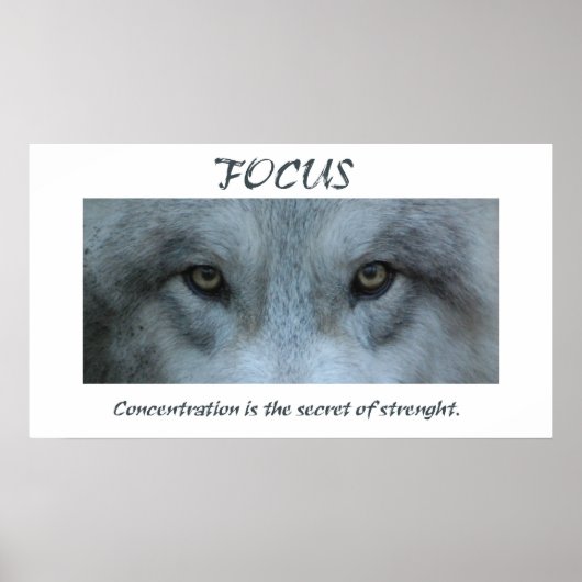 aalscholvers058 poster (Voorkant)