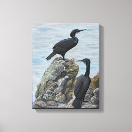 Aalscholvers op rotsen Print op Canvas