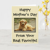 Aan de hand van de foto van de hond aangepast moed kaart (Gele Bloem)