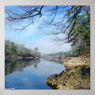 Aan de oevers van de Suwannee-rivier Poster