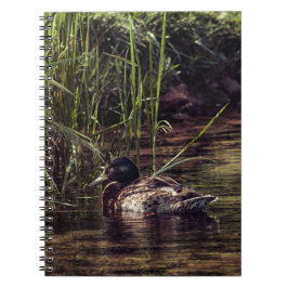 Aan de rand van Pond Notitieboek