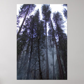Aan de voet van Half Dome - Yosemite Poster
