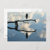 Aan een ledemaat briefkaart (Voorkant / Achterkant)