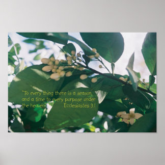 Aan elk ding is er een seizoenManuscript Poster