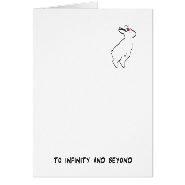 AAN INFINITEIT (Voorkant)