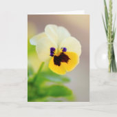 Aan je denkend Kanker Ondersteuning Kaart (Voorkant)